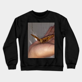 Butterfly Crewneck Sweatshirt